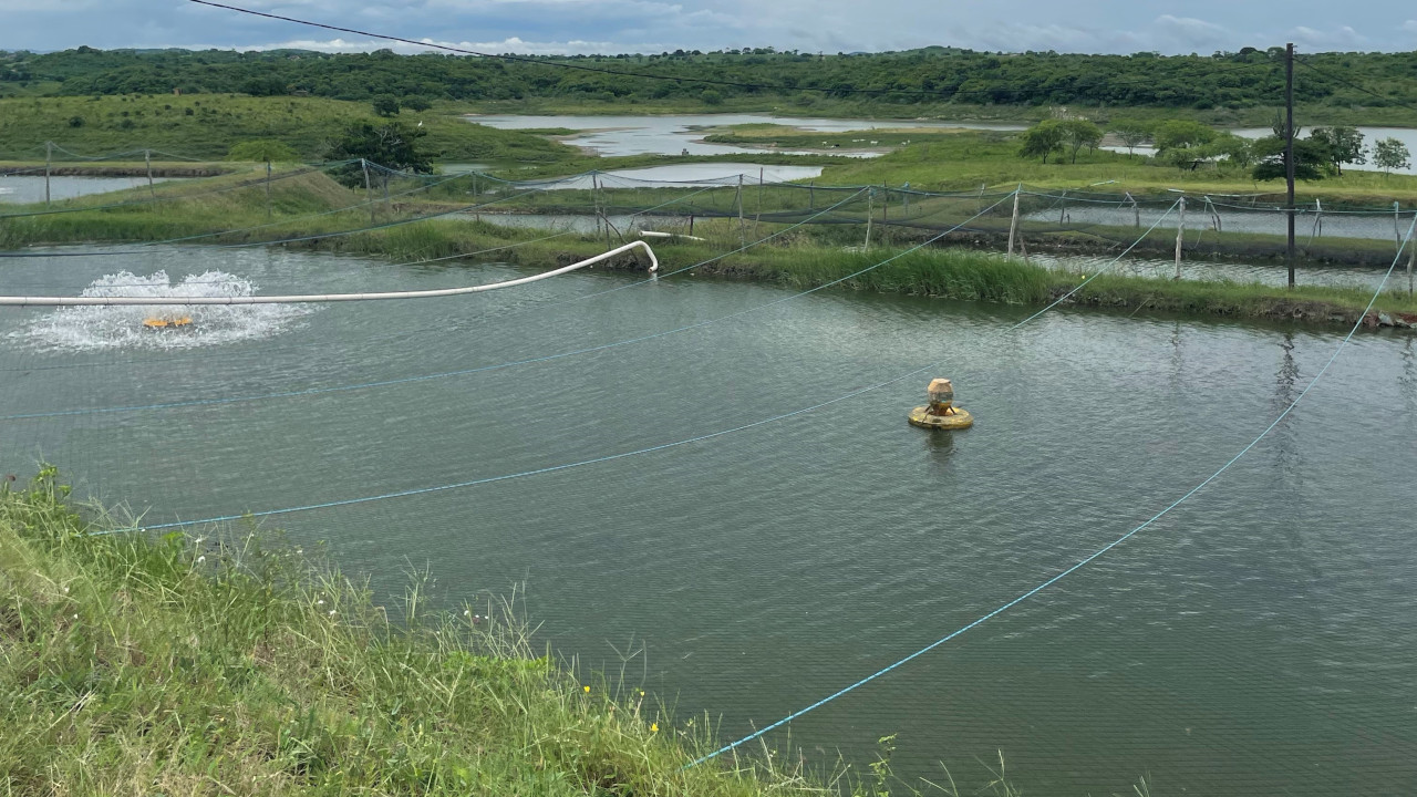 Aerador em um viveiro de aquicultura
